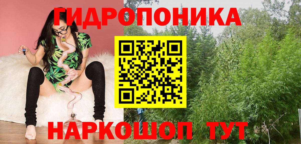 МАРИХУАНА ГИДРОПОН Нижний Тагил